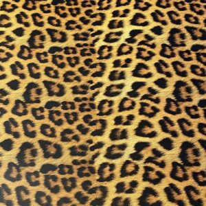 Siser wild Leopard